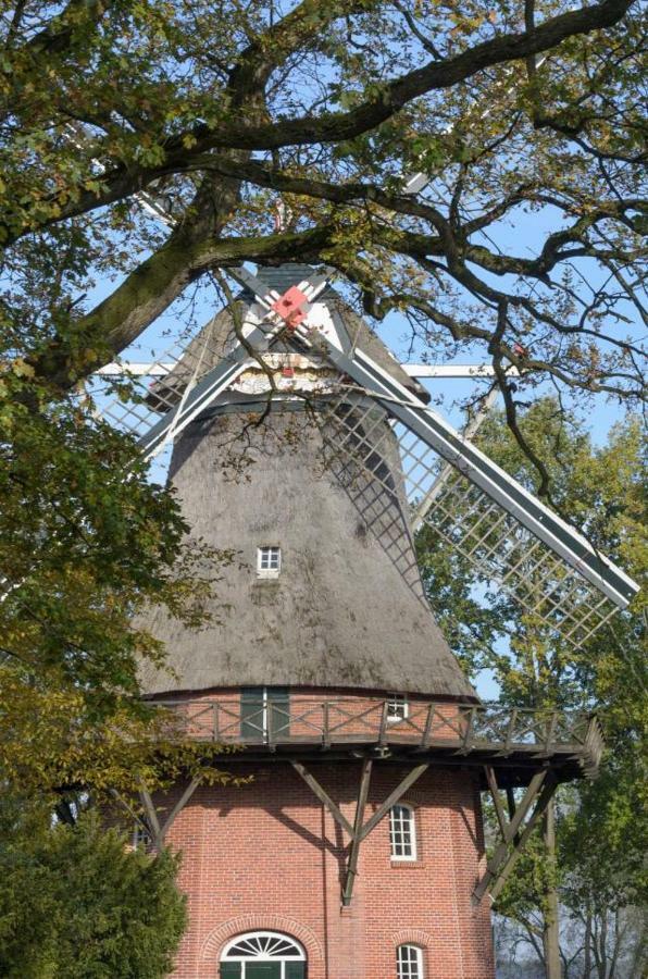 Ferienhaus Kleine Oase Varel Bagian luar foto
